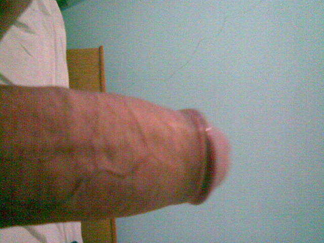 penis - bogdan22cm