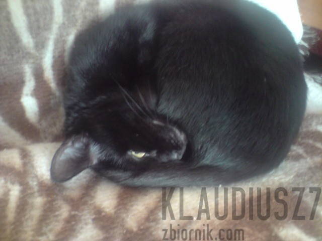 klaudiusz7