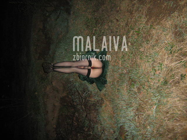;) - malaiva