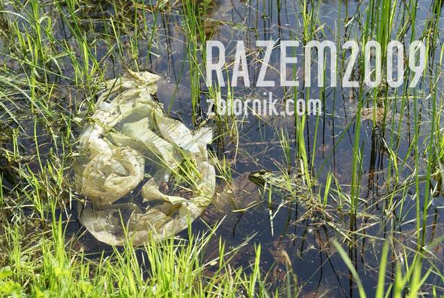 zdjęcie profilowe:) - razem2009