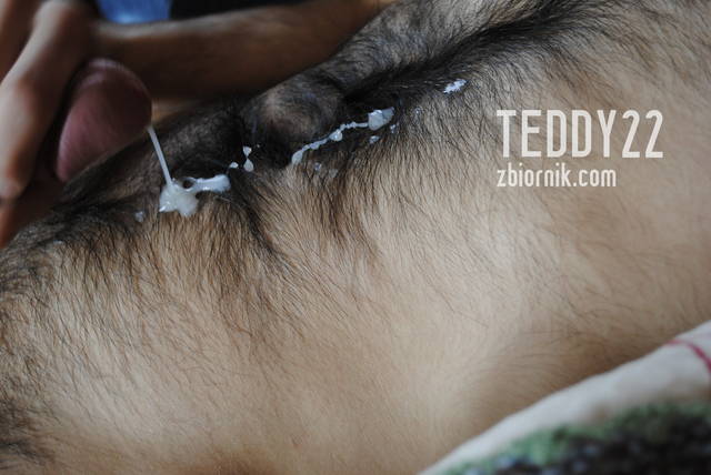 _DSC0077.JPG - Teddy22