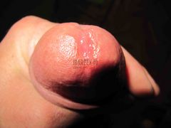 IMG_0576.JPG