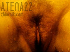 Cipcia