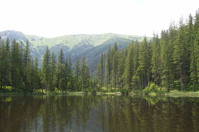 tabletusiaiproszek