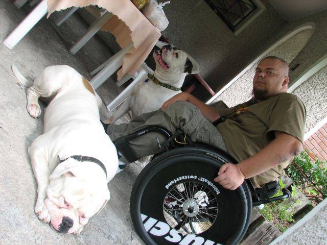 Ambull