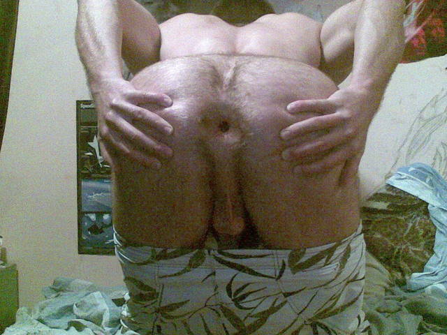 Ape