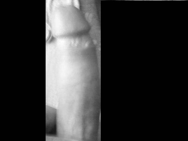 penis 2 - pereira