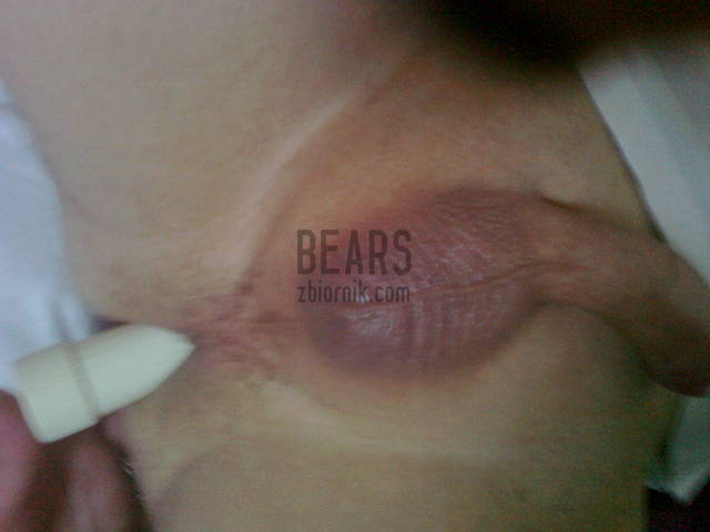 Photo0037.jpg - bears
