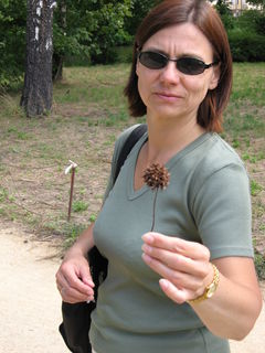 IMG_2768.JPG