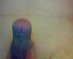 IMG000003.jpg