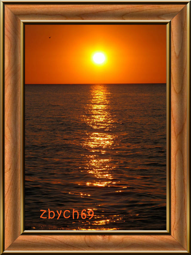 zbych69