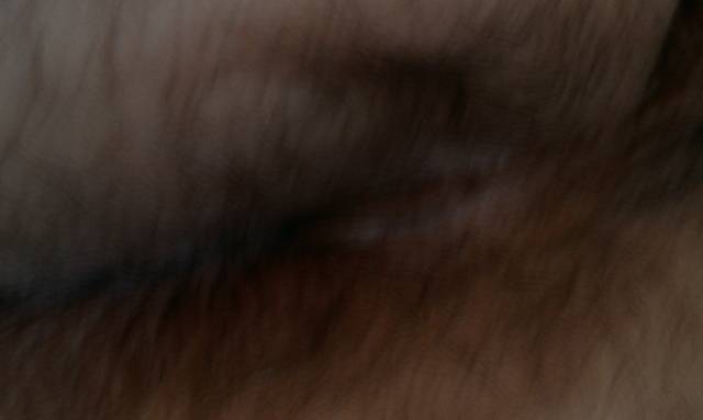 IMAG0719.jpg - ny39