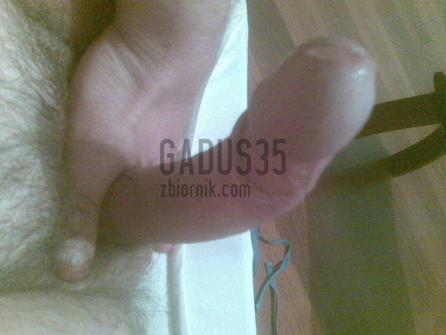 09062010.jpg - gadus35