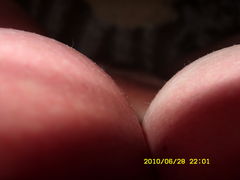 SDC17761.JPG