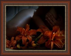...lilie...