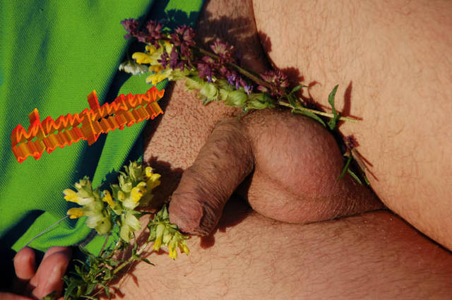ukwiecony - adamplusewa
