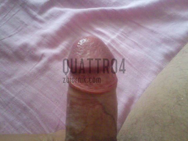 Zdjęcie1095.jpg - Quattro4