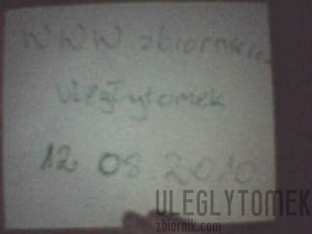 weryfikacja - uleglytomek