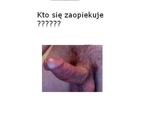kto sie zaopiekuje ???? - nowak1998