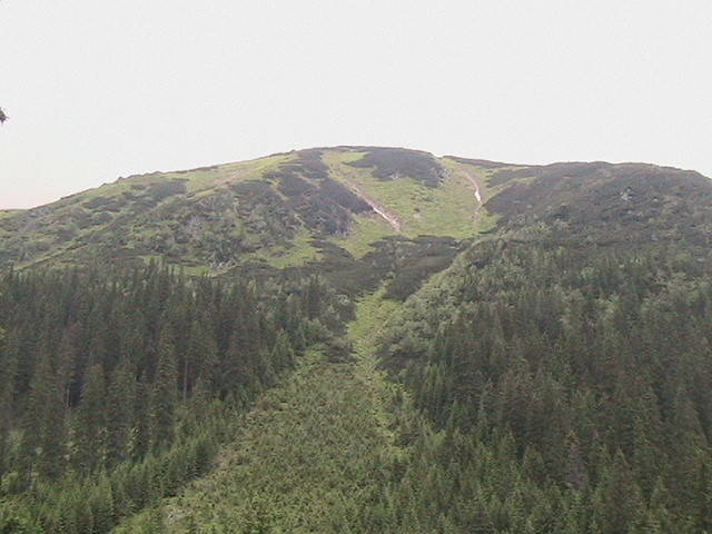 robciotaki1