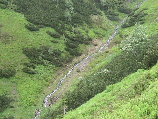 robciotaki1