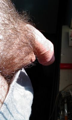 IMAG0768.jpg