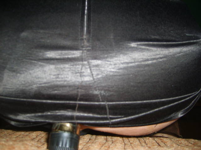 S5004481.JPG - Trans1