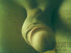 Img00000.jpg