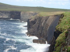 DSC01653.JPG