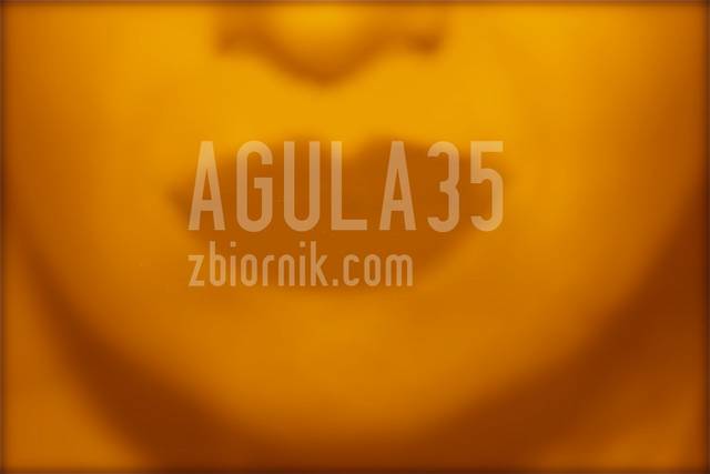 agula35