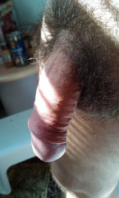 IMAG0804.jpg