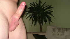 Obraz 047.jpg