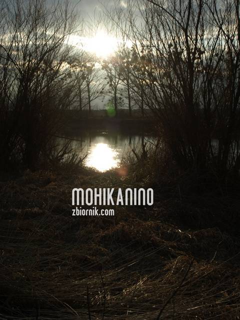 Dla bratniej duszy:-) - Mohikanin0