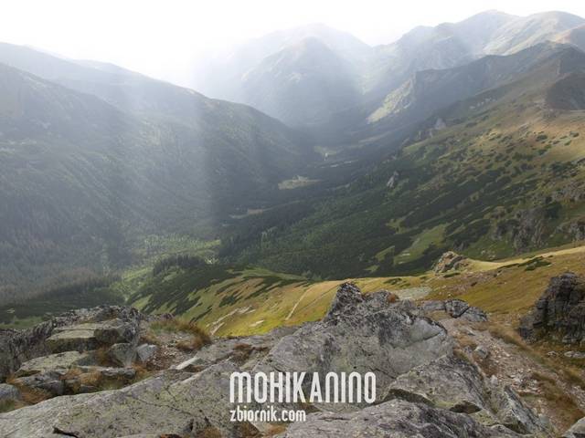Mohikanin0