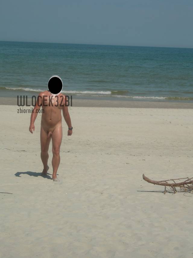 wlocek32bi