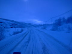noc polarna