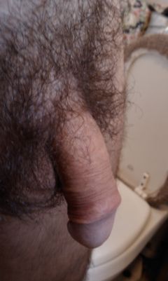 IMAG0843.jpg