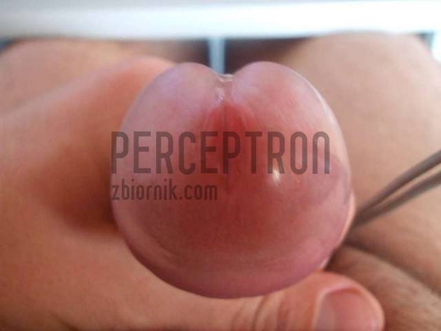 perceptron
