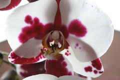 2010 009.jpg