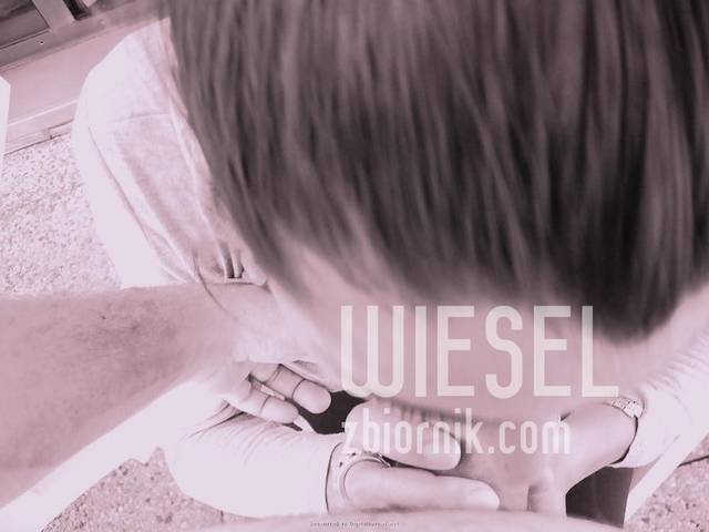 990_1000.jpg - wiesel