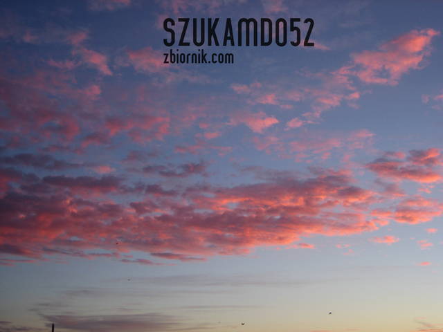 IMG_0456.JPG - szukamdo52