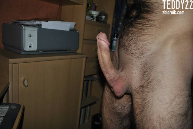 Teddy22