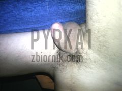 Zdjęcie013.jpg