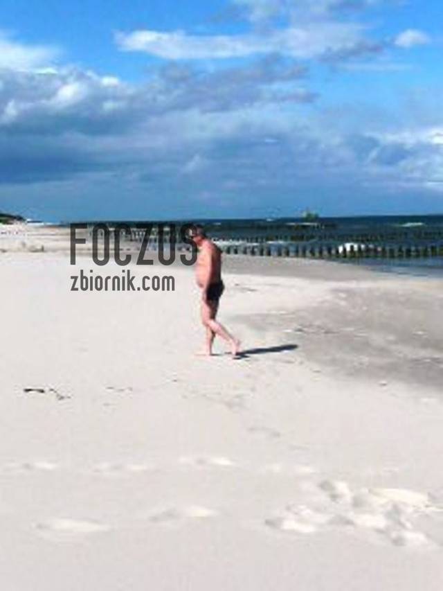 foczus