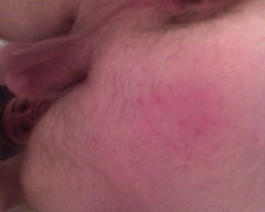DSC00120.JPG