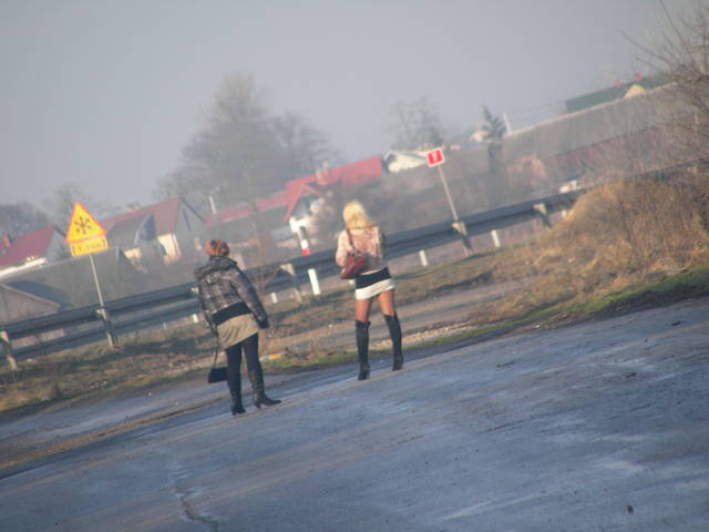 mobilek1981