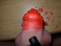 DSCN6874.jpg