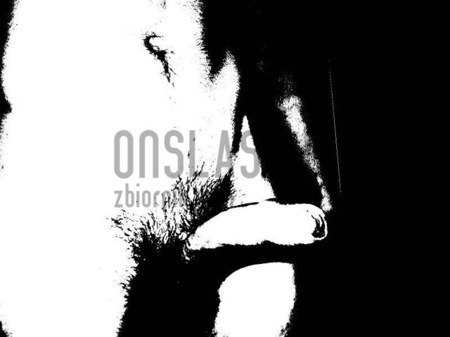 12312.jpg - onslaskjz