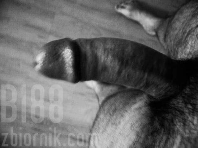 bi88