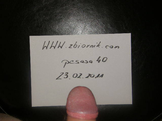 wer1 - pesasa40